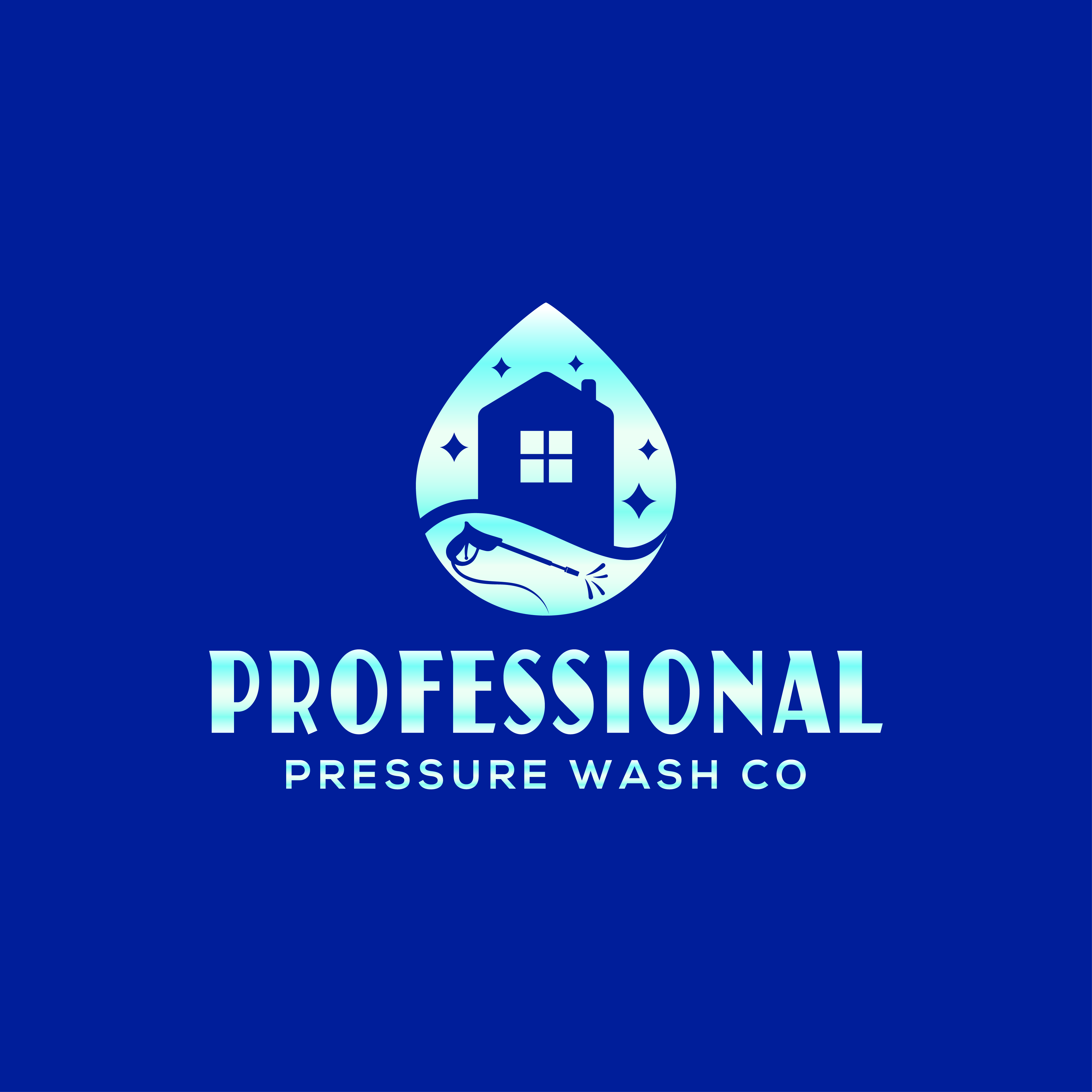 Professional Pressure Wash Co